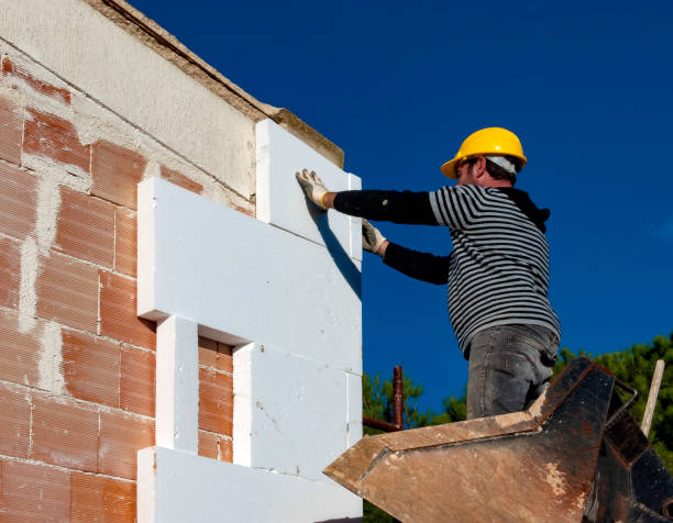 Best Spray Foam Insulation  in Doniphan, MO