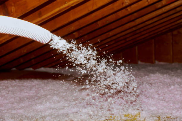 Best Insulation Contractor Near Me  in Doniphan, MO