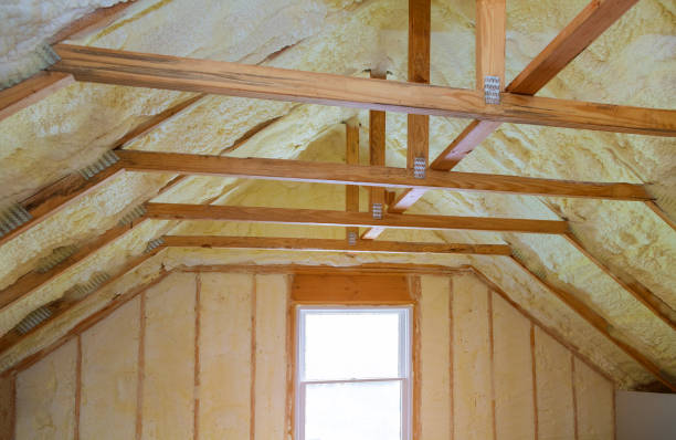 Best Crawl Space Insulation  in Doniphan, MO