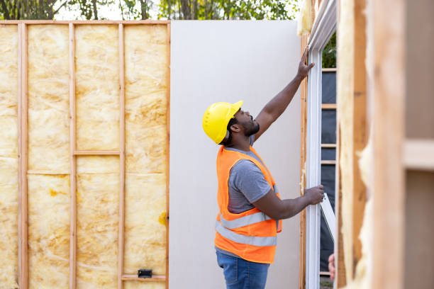 Best Insulation Removal Services  in Doniphan, MO