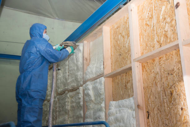 Insulation Repair Services in Doniphan, MO