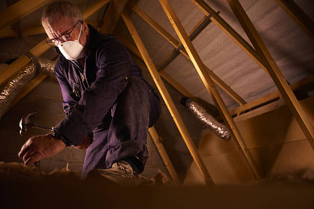 Best Residential Insulation Services  in Doniphan, MO