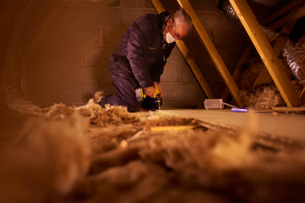 Best Insulation Inspection Services  in Doniphan, MO